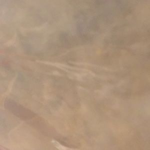 Meet your Posher, Brownson